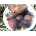 Инжир Сухумский фиолетовый: цена и описание сорта